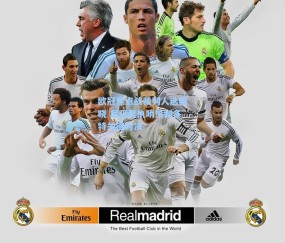 欧冠焦点战裁判人选揭晓 尼贝里执哨热刺多特关键对决